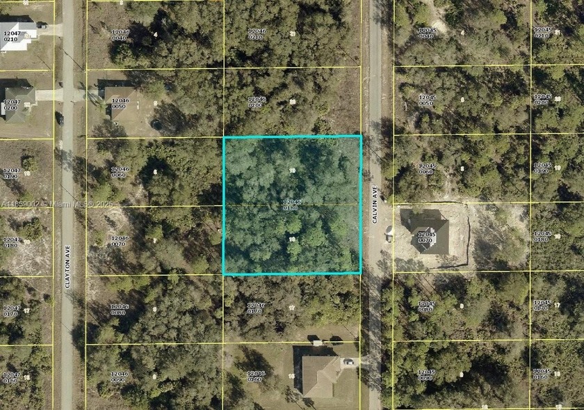 Investor Special! 1-acre vacant lot on Calvin Ave in the booming - Beach Lot for sale in Lehigh Acres, Florida on Beachhouse.com