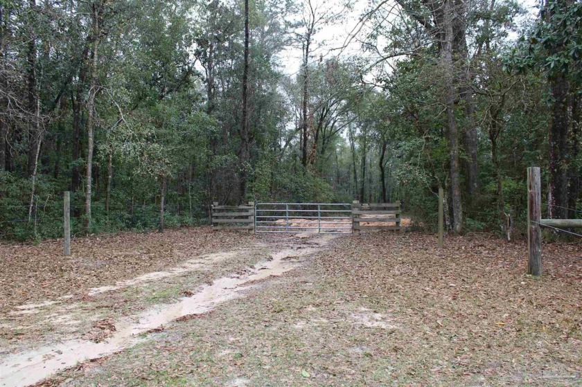 Discover the perfect blend of adventure and tranquility on this - Beach Acreage for sale in Milton, Florida on Beachhouse.com