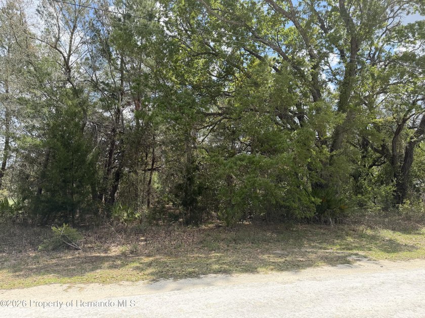 Beautiful acre residential lot to build your dream home on! No - Beach Lot for sale in Weeki Wachee, Florida on Beachhouse.com