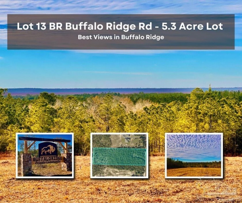 BEST VIEWS IN BUFFALO RIDGE!!!  5.3-acre Lot 13 BR with - Beach Acreage for sale in Pace, Florida on Beachhouse.com