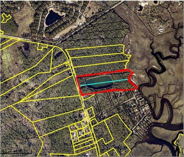 21 acres of gorgeous wooded property looking east with expensive - Beach Acreage for sale in Waverly, Georgia on Beachhouse.com