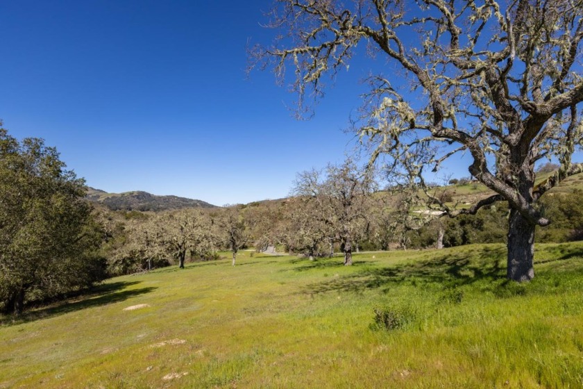 This slightly elevated, 6.2 acre site captures optimal natural - Beach Acreage for sale in Carmel, California on Beachhouse.com