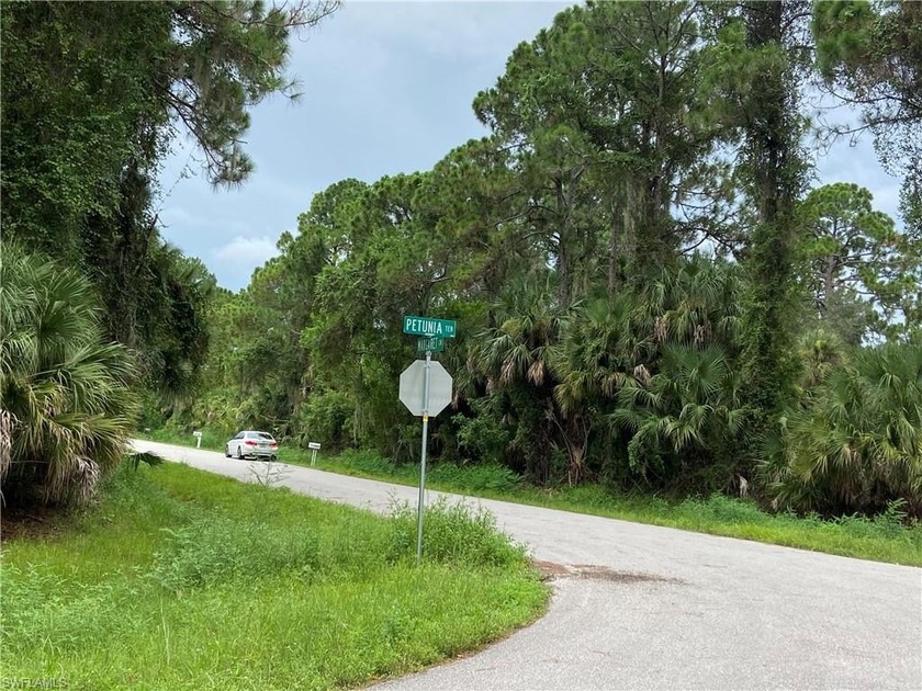 Corner lot,Great opportunity to invest and build your dream home - Beach Lot for sale in North Port, Florida on Beachhouse.com