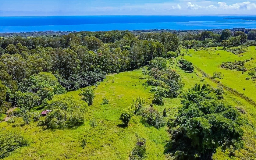 Seller financing opportunity!Huge potential on this 22+ acre - Beach Home for sale in Papaikou, Hawaii on Beachhouse.com