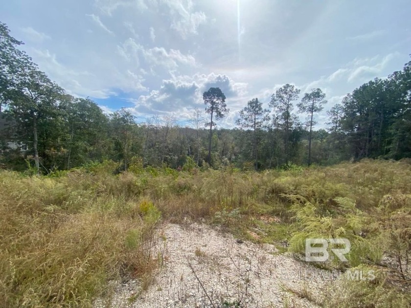 Discover the tremendous potential to build your dream home on - Beach Lot for sale in Daphne, Alabama on Beachhouse.com