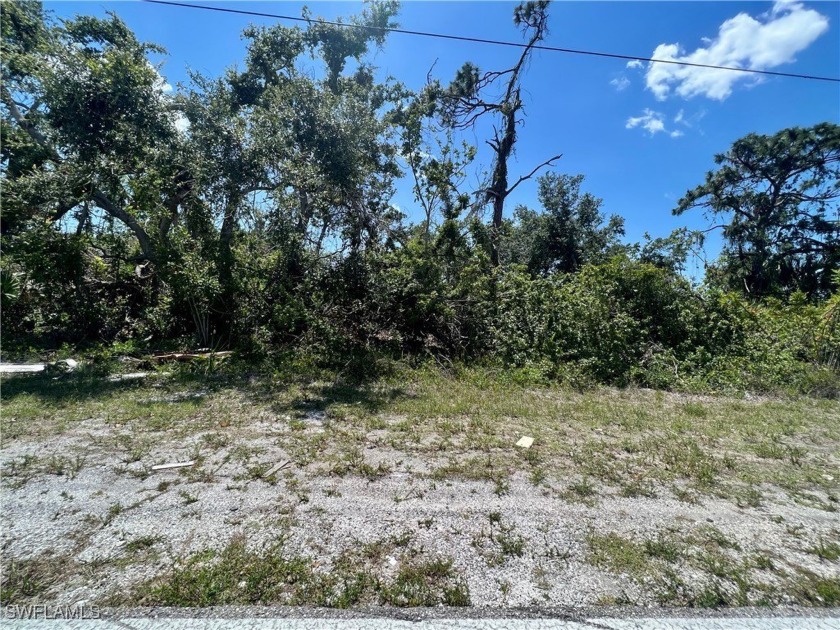 Beautiful lot offers a unique opportunity to build the home of - Beach Lot for sale in Port Charlotte, Florida on Beachhouse.com