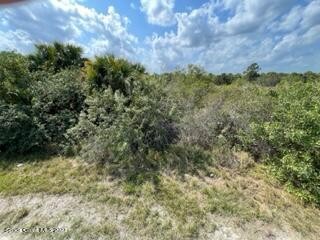 NO HOA!  Build your new home on this Palm Bay lot. The city s - Beach Lot for sale in Palm Bay, Florida on Beachhouse.com