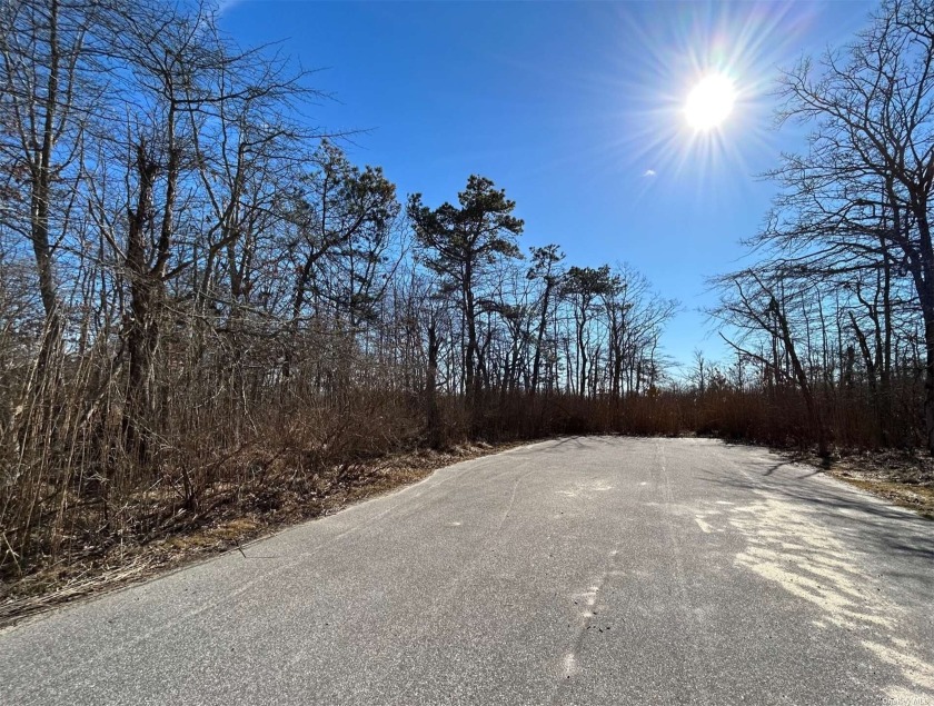 Vacant wooded parcel situated next to house #21. Dead end street - Beach Lot for sale in Shirley, New York on Beachhouse.com