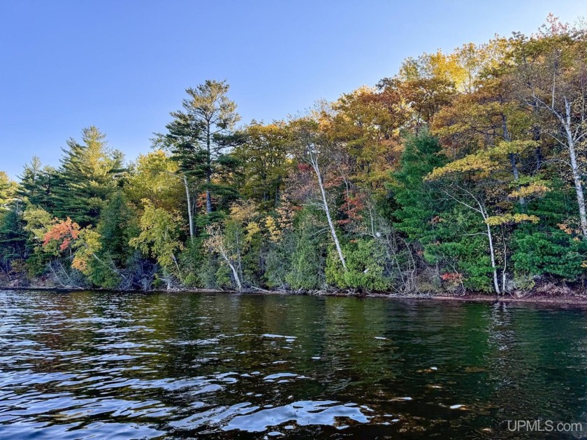 This waterfront lot on Torch Lake features 250 feet of frontage - Beach Acreage for sale in Hancock, Michigan on Beachhouse.com