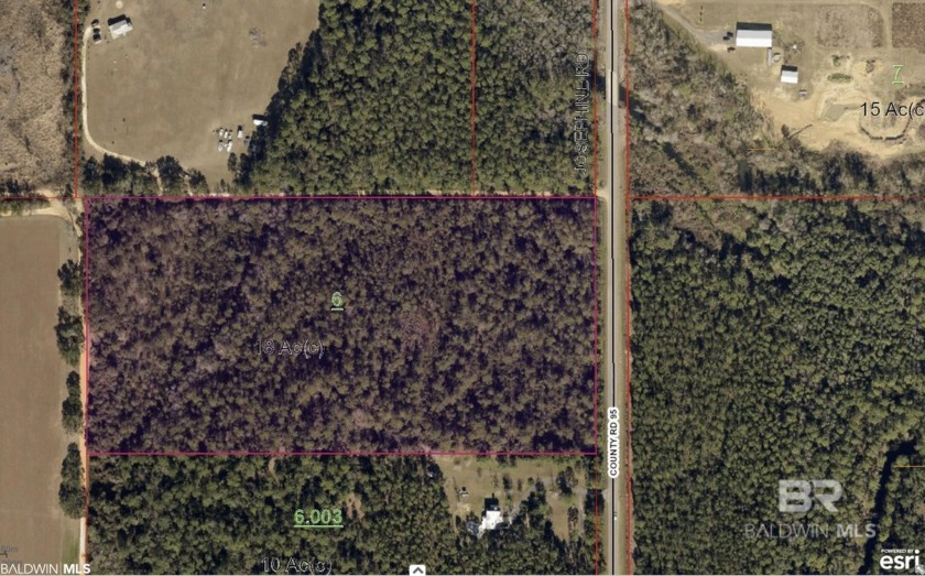 OWNER FINANCING possible! Call listing agent for details. Over - Beach Acreage for sale in Elberta, Alabama on Beachhouse.com