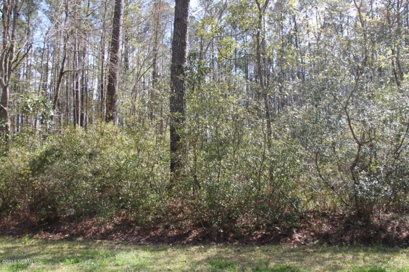Now is the time to own your piece of land in beautiful Fairfield - Beach Lot for sale in New Bern, North Carolina on Beachhouse.com
