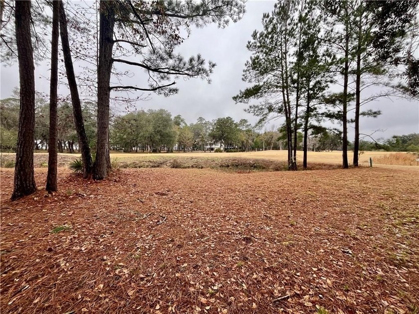 Fabulous Homesite on the Golf Course in Sutherland Bluff! Great - Beach Lot for sale in Townsend, Georgia on Beachhouse.com