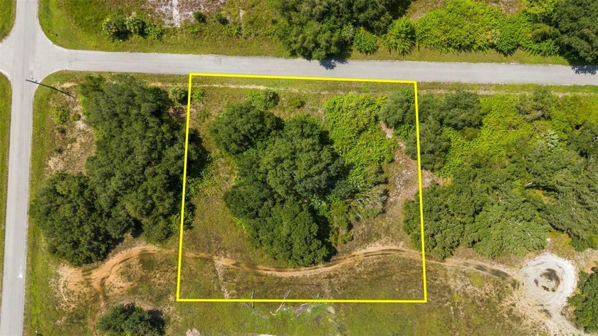 Expansive 1-Acre Lot in Lehigh Acres - Prime Location for Your - Beach Lot for sale in Lehigh Acres, Florida on Beachhouse.com