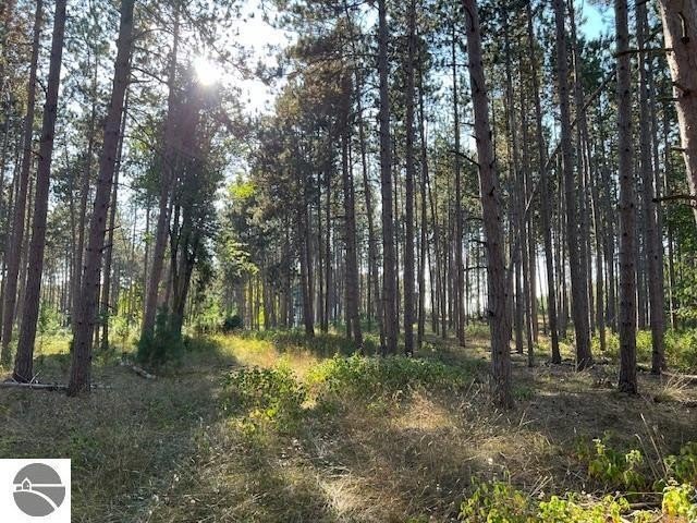 Beautiful 9.97 acre private parcel highlighted by stunning red - Beach Acreage for sale in Williamsburg, Michigan on Beachhouse.com