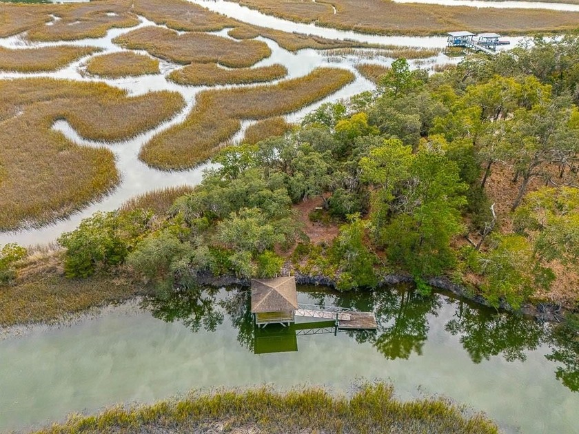 Lot 35 is the definition of serenity. Located in Darien's - Beach Lot for sale in Darien, Georgia on Beachhouse.com