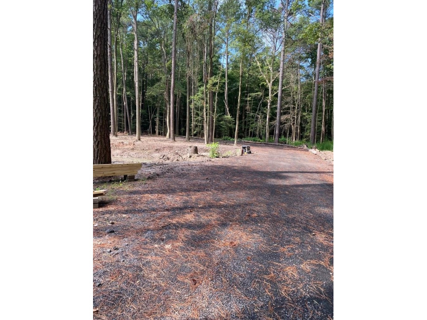 This awesome homesite could be yours!!!! and a good deal of it - Beach Acreage for sale in Hallwood, Virginia on Beachhouse.com