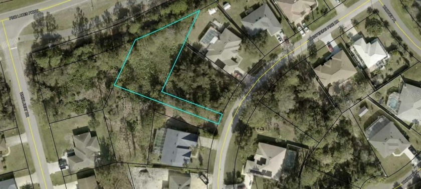 This lot is an OVERSIZED lot with 14,749 sqft and offer privacy - Beach Lot for sale in Palm Coast, Florida on Beachhouse.com