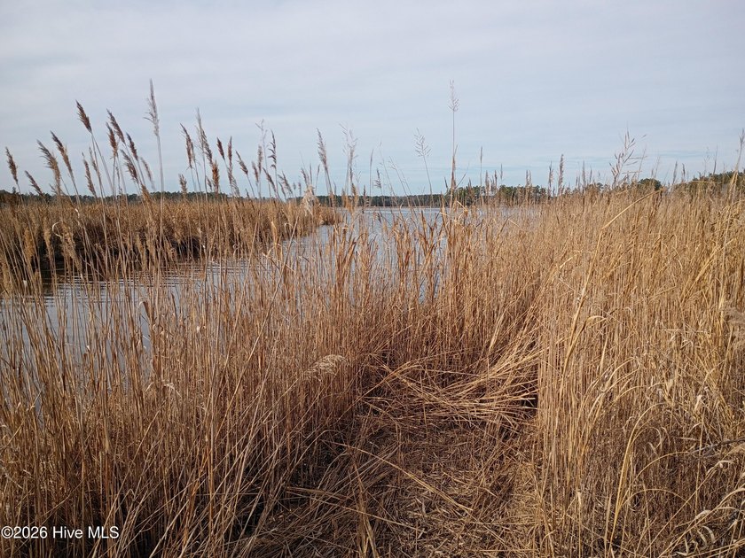WATERFRONT, Unique waterfront lot has several possibilities, for - Beach Lot for sale in Aurora, North Carolina on Beachhouse.com