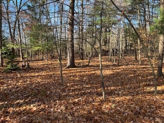 Pretty lot in the City of Montague. Quiet, treelined street just - Beach Lot for sale in Montague, Michigan on Beachhouse.com