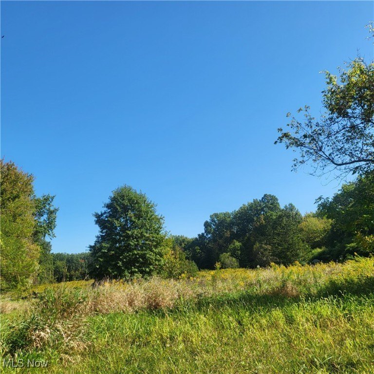 Don't miss this rare chance to secure a large tract in Vermilion - Beach Acreage for sale in Vermilion, Ohio on Beachhouse.com