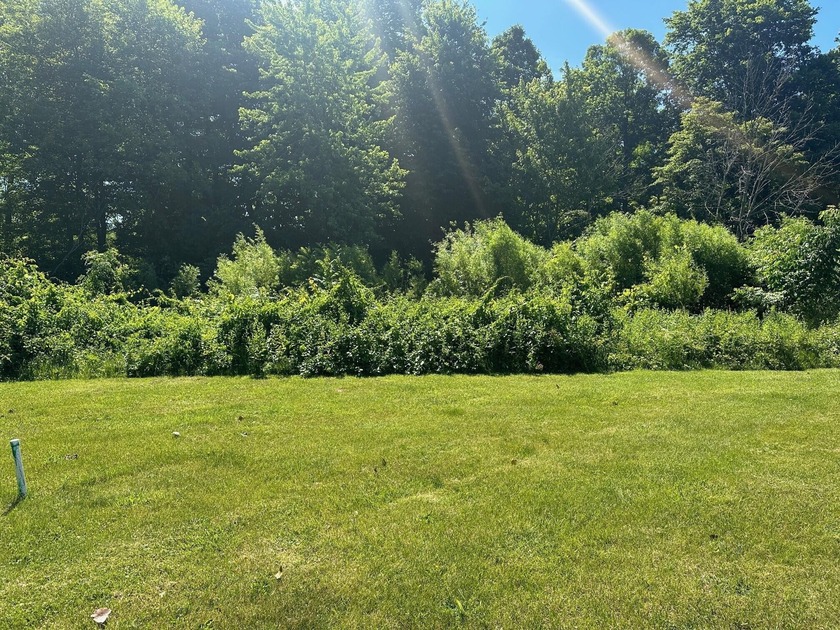 Can't find exactly what you are looking for, BUILD IT! This lot - Beach Lot for sale in New Buffalo, Michigan on Beachhouse.com