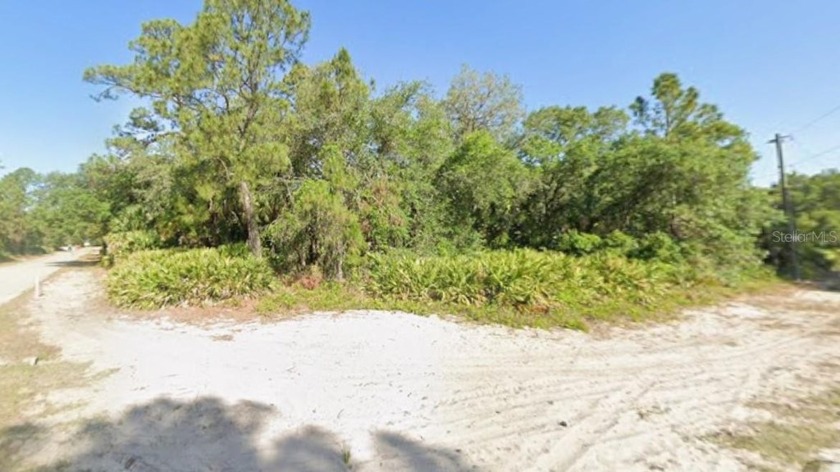 Prestige Corner Lot - .33 Acres to Build Your Custom Dream 
 - Beach Lot for sale in Port Charlotte, Florida on Beachhouse.com