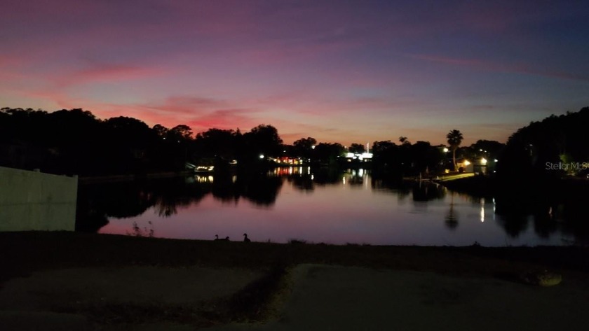 Look at this spectacular lakefront lot ( I can provided a list - Beach Lot for sale in Port Richey, Florida on Beachhouse.com
