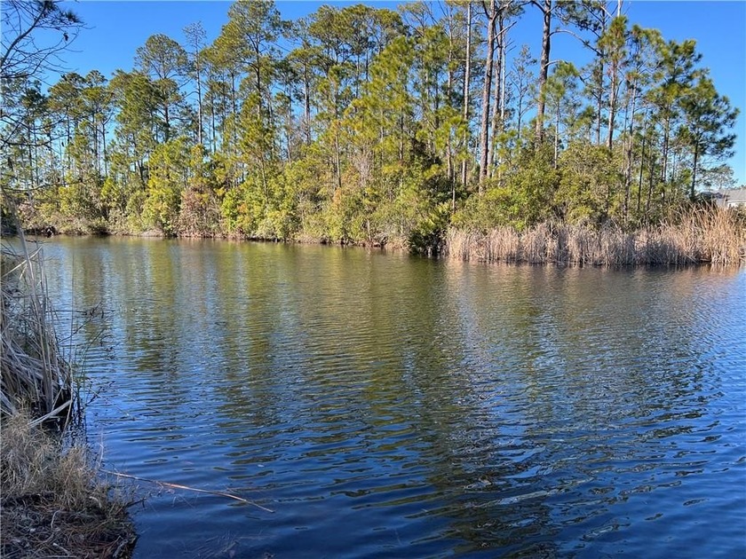 Rare find - Large 1 Acre lakefront lot in gated Stillwater - Beach Lot for sale in Saint Simons, Georgia on Beachhouse.com