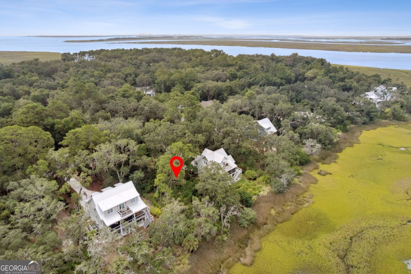 Cumberland Harbour Marshfront Living! Seize the opportunity to - Beach Lot for sale in Saint Marys, Georgia on Beachhouse.com