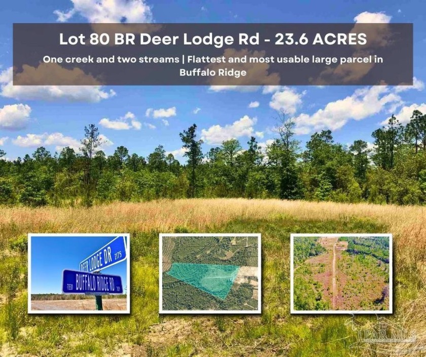 JUST ON THE MARKET!!! Lot 23.6 Lot 80 BR is the FLATTEST AND - Beach Acreage for sale in Pace, Florida on Beachhouse.com