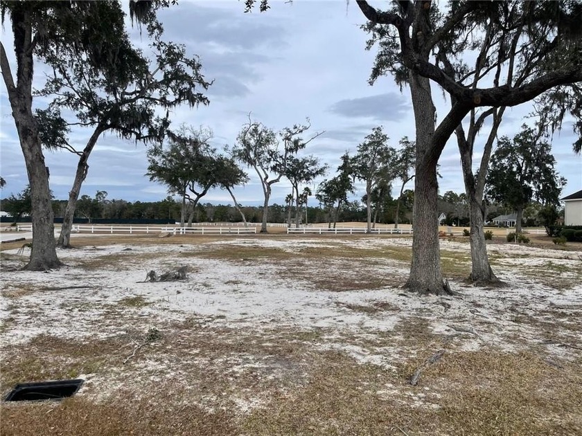 Great lot to build your dream home which is located near the - Beach Lot for sale in Brunswick, Georgia on Beachhouse.com