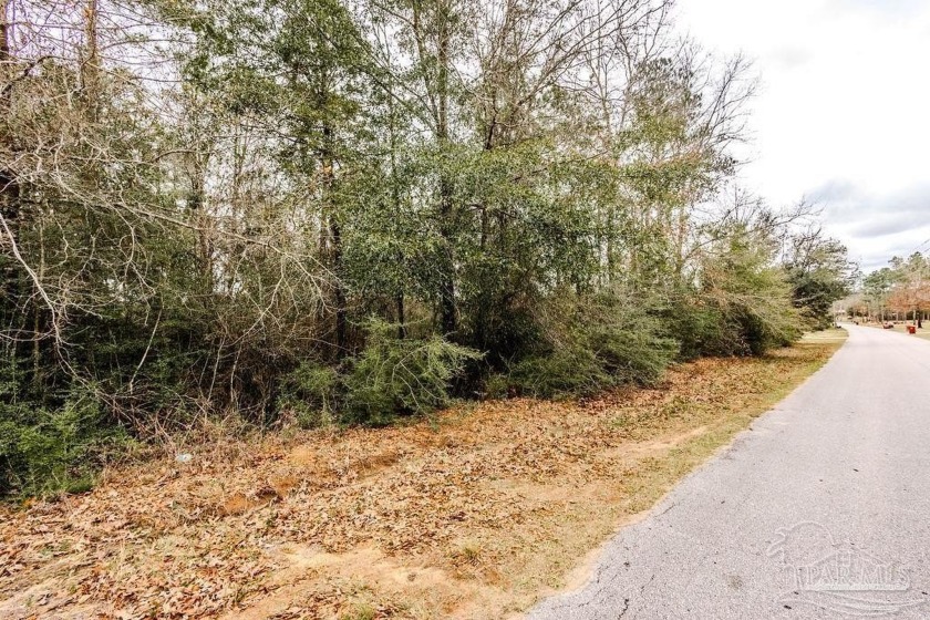 EXTREMELY RARE 4.7  ACRE PARCEL WITH CREEK ON WALLACE LAKE - Beach Acreage for sale in Pace, Florida on Beachhouse.com