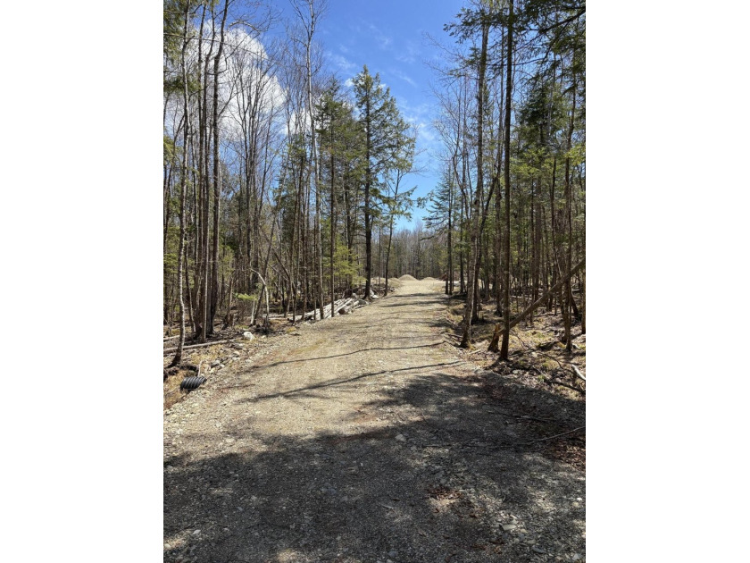 Discover the perfect blend of privacy and conveniece with this - Beach Acreage for sale in Penobscot, Maine on Beachhouse.com