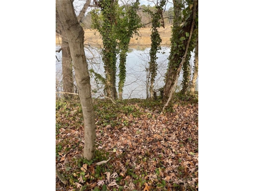 Seize the opportunity to own a prime waterfront lot in - Beach Lot for sale in Smithfield, Virginia on Beachhouse.com