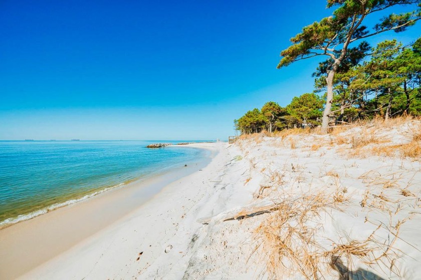 BEACHFRONT WITH PURE TRANQUILITY. Prime Homesite w/ superior - Beach Lot for sale in Cape Charles, Virginia on Beachhouse.com