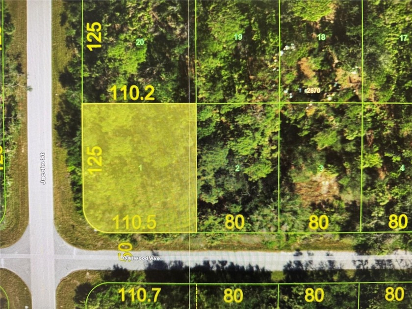 OVERSIZED CORNER LOT JUST UNDER 1/3 OF AN ACRE. Great Location - Beach Lot for sale in Port Charlotte, Florida on Beachhouse.com