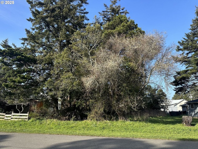 Level useable lot in the heart of Port Orford.  Close to Parks - Beach Lot for sale in Port Orford, Oregon on Beachhouse.com