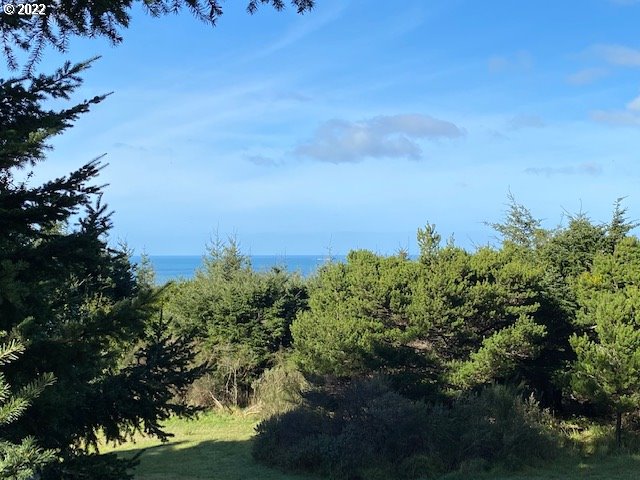 HEAVENLY OCEANVIEWS from .98 acre, 4 tax lots, currently all - Beach Lot for sale in Port Orford, Oregon on Beachhouse.com