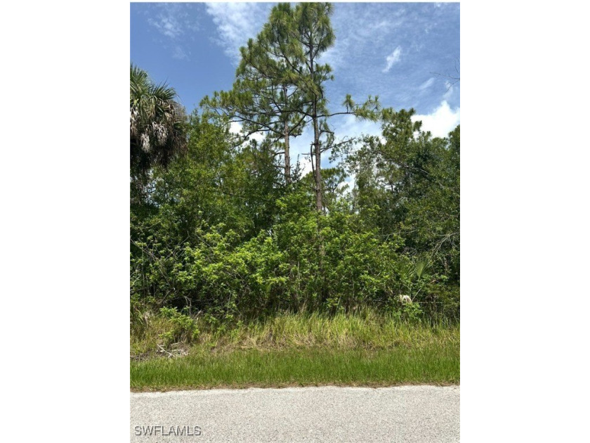 Located on a quiet street. Build your dream home, the lots next - Beach Lot for sale in Punta Gorda, Florida on Beachhouse.com