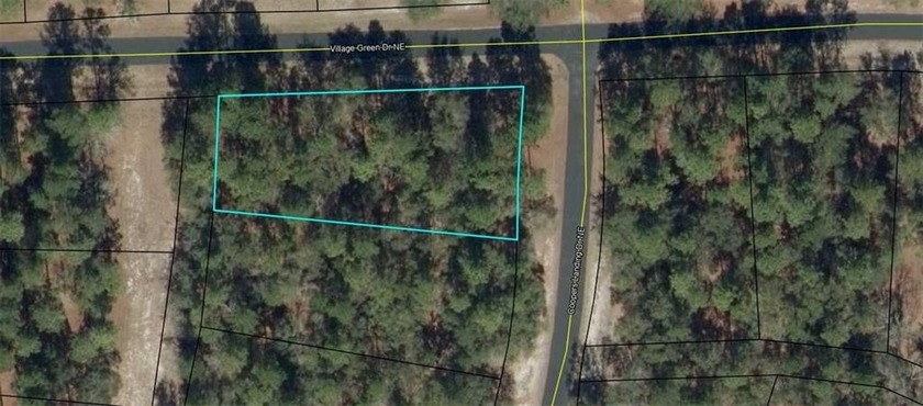 0.53 of an acre inside the gates of Coopers Point at Shellman - Beach Lot for sale in Townsend, Georgia on Beachhouse.com