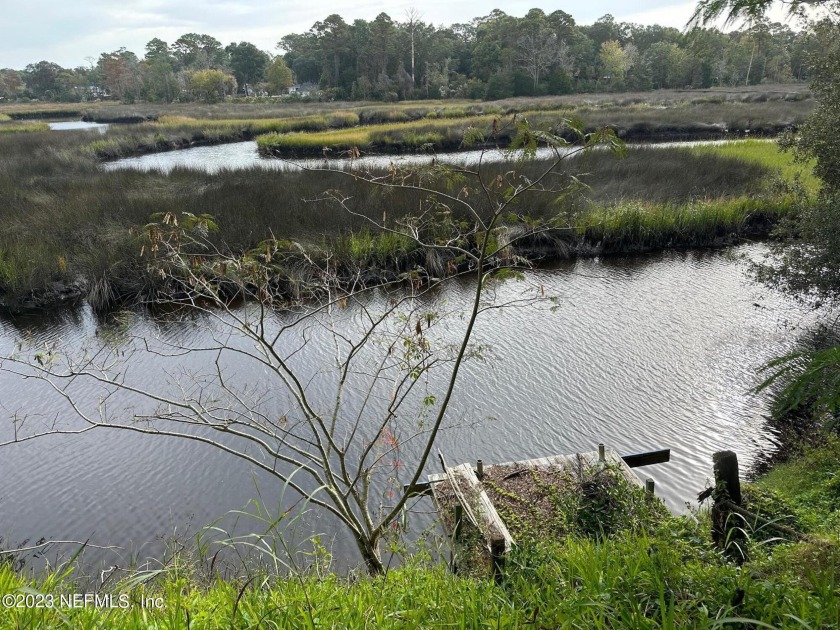 Build your dream home on this 0.52-acre lot nestled along serene - Beach Lot for sale in Jacksonville, Florida on Beachhouse.com