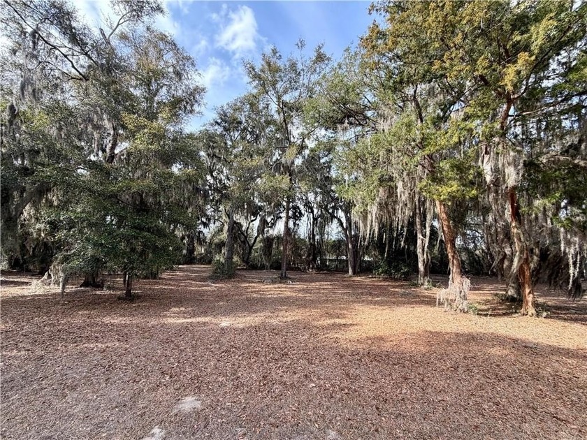 0.57 OF AN ACRE LOCATED ON SUTHERLAND BLUFF COURT, INSIDE THE - Beach Lot for sale in Townsend, Georgia on Beachhouse.com