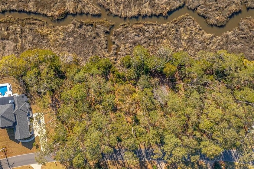 Build your dream home on this beautiful MARSH FRONT lot with - Beach Lot for sale in Saint Simons, Georgia on Beachhouse.com
