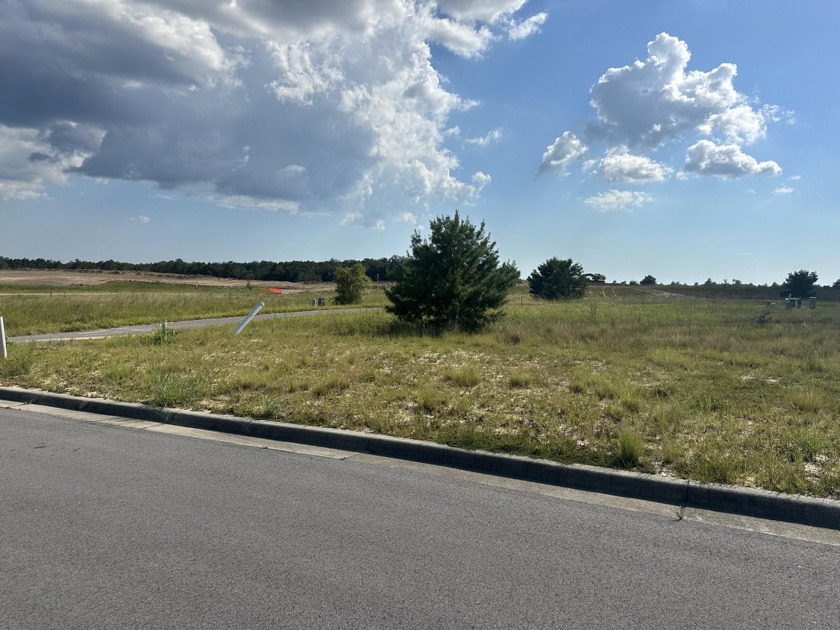 Owl's Head subdivision has walking trails, a lake and large - Beach Lot for sale in Freeport, Florida on Beachhouse.com