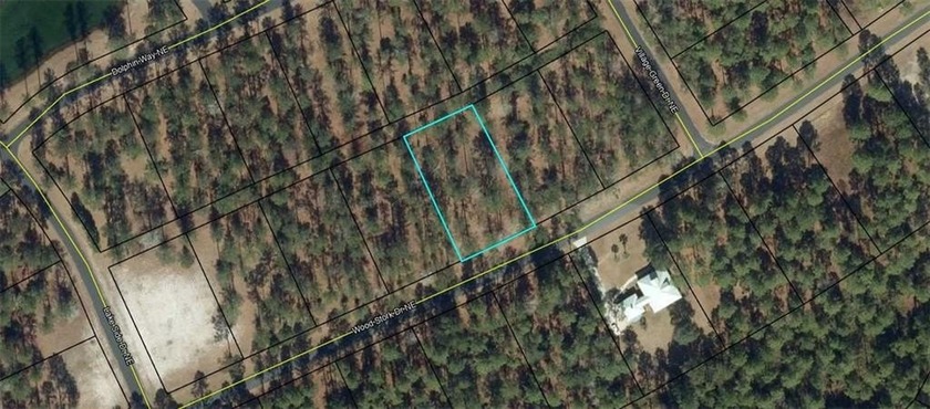 Lot 684 is located in the Village section of Coopers Point - Beach Lot for sale in Townsend, Georgia on Beachhouse.com