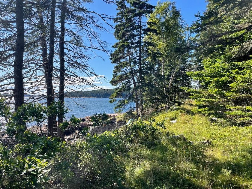 Discover a rare opportunity* to own 2.6+ acres of stunning - Beach Acreage for sale in Winter Harbor, Maine on Beachhouse.com
