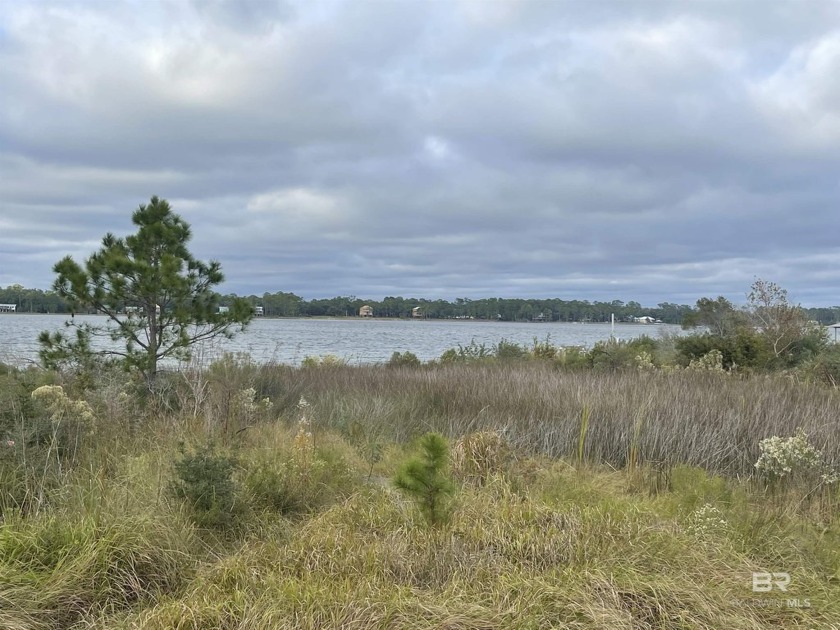 50 Feet of water front on Little Lagoon. Awesome location, close - Beach Lot for sale in Gulf Shores, Alabama on Beachhouse.com