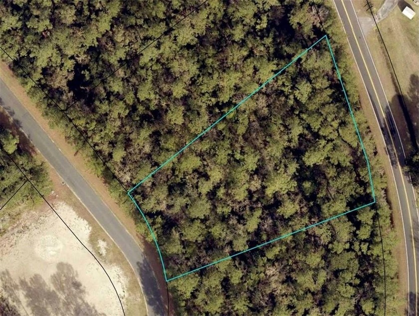 Build your dream home in the desirable, gated community of Misty - Beach Lot for sale in Woodbine, Georgia on Beachhouse.com