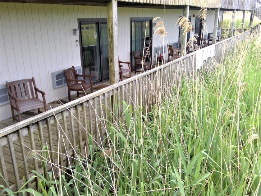 Look at this adorable efficiency condo. Unit #102 is located on - Beach Condo for sale in Chincoteague Island, Virginia on Beachhouse.com
