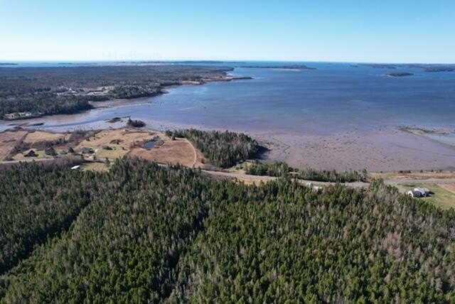 A great opportunity to own a sizable 70+/- acre parcel in - Beach Acreage for sale in Whiting, Maine on Beachhouse.com